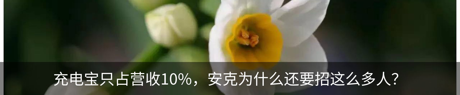 行业资讯