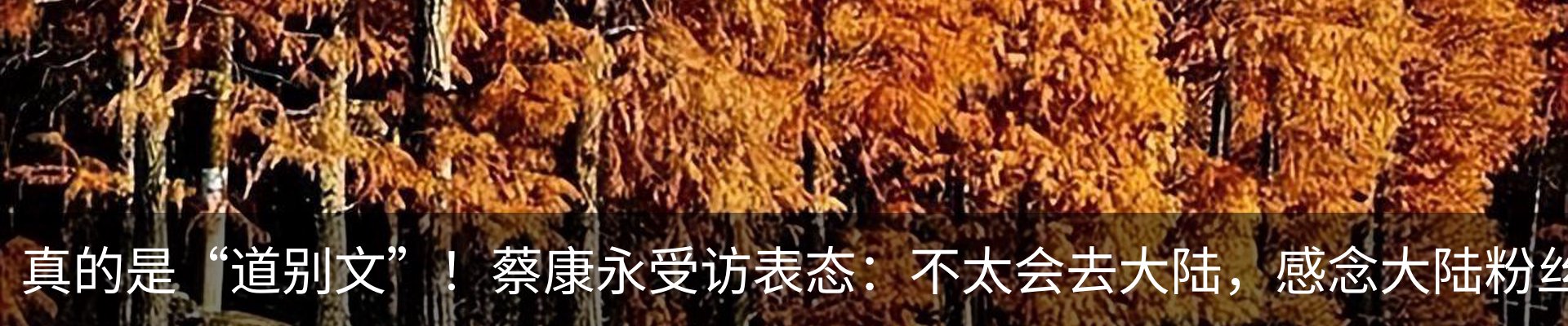 行业资讯